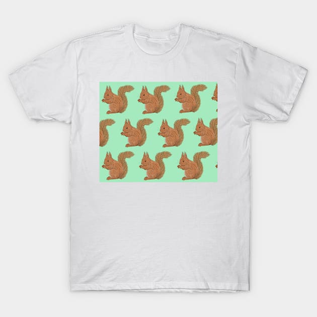 Amazing Red Squirrel T-Shirt by ButtonandSquirt